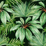 Green Plants on Green Wallpaper