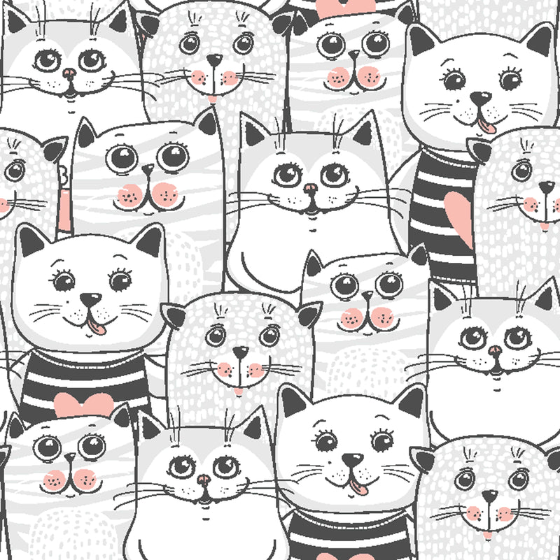 Cute Cats Colorful Wallpaper