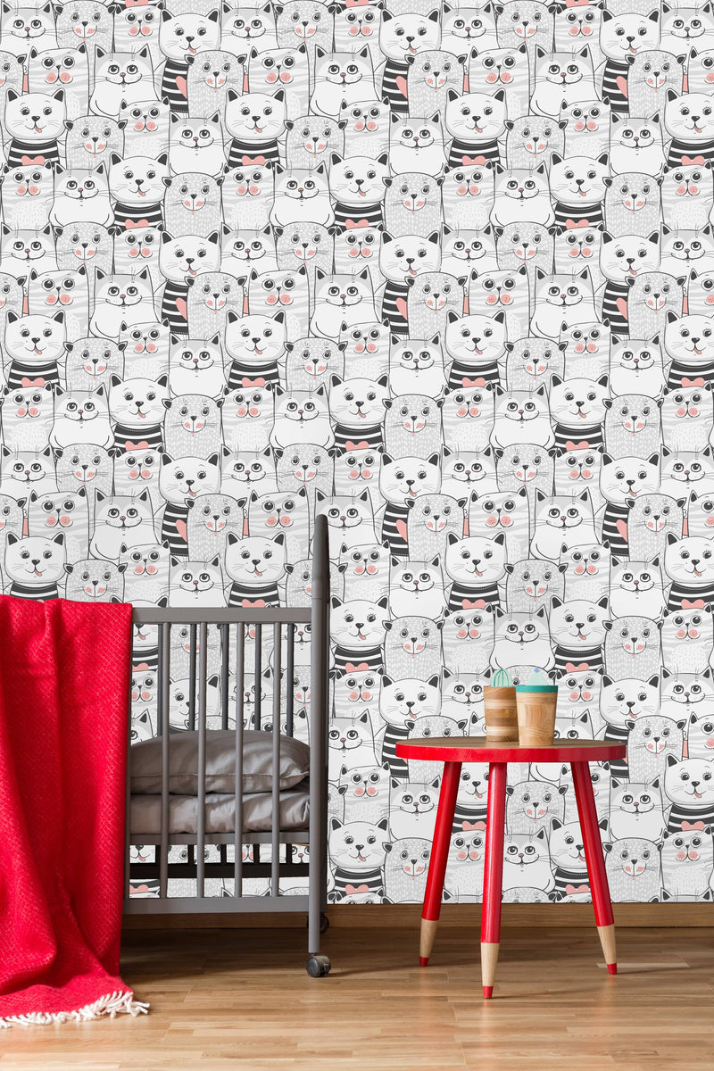 Cute Cats Colorful Wallpaper