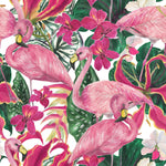 Pink Flamingos Exotic Wallpaper