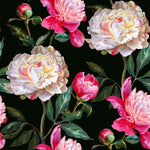 Peonies Wallpaper