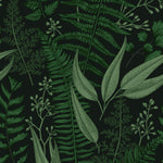Dark Ferns Leaves Wallpaper