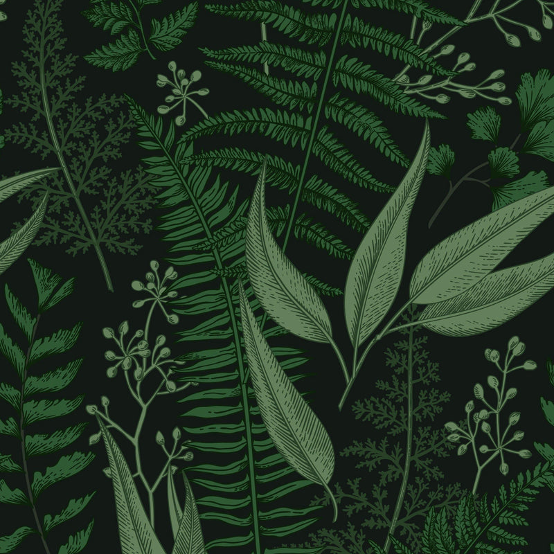 Dark Ferns Leaves Wallpaper