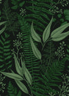 Dark Ferns Leaves Wallpaper