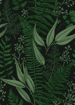 Dark Ferns Leaves Wallpaper