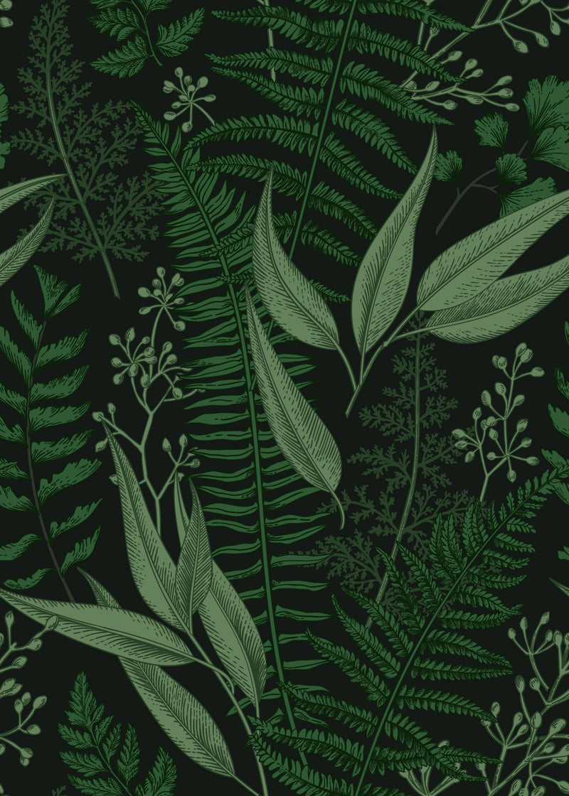 Dark Ferns Leaves Wallpaper