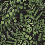 Dark Green Ferns Wallpaper