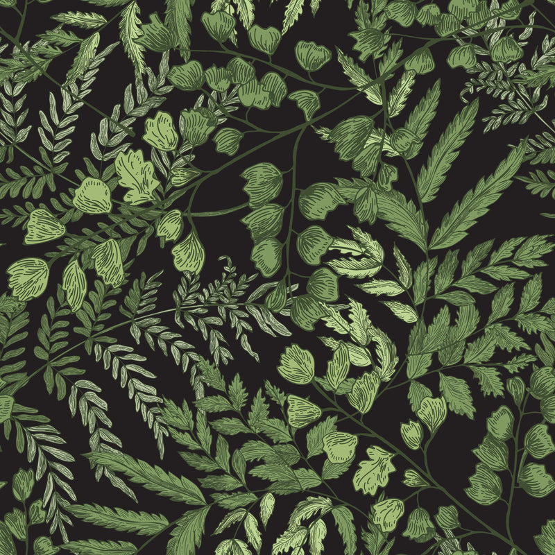 Dark Green Ferns Wallpaper