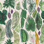 Green Plants Leaves Wallpaper