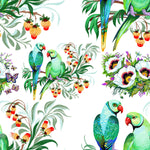 Parrots and Berries Wallpaper