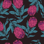 Brightly Pink Protea Wallpaper