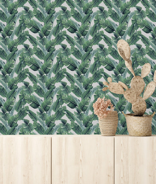 Green Palm Leaves Wallpaper Smart Quality