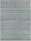 Ambridge Area Rug