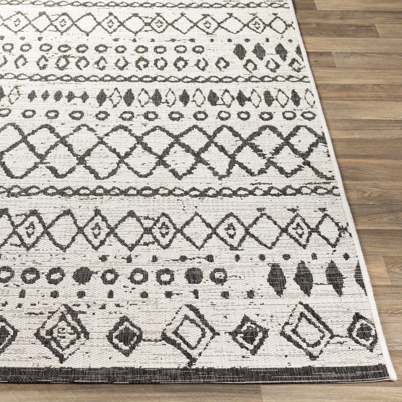 Westside Outdoor Rug