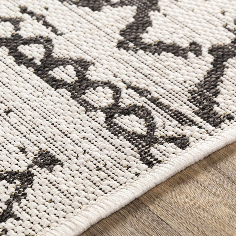 Westside Outdoor Rug