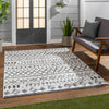 Westside Outdoor Rug