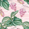 Pink Wallpaper with Leaves and Flowers