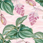 Pink Wallpaper with Leaves and Flowers