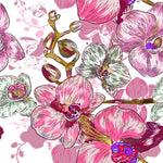 Pink Orchid Flowers Wallpaper