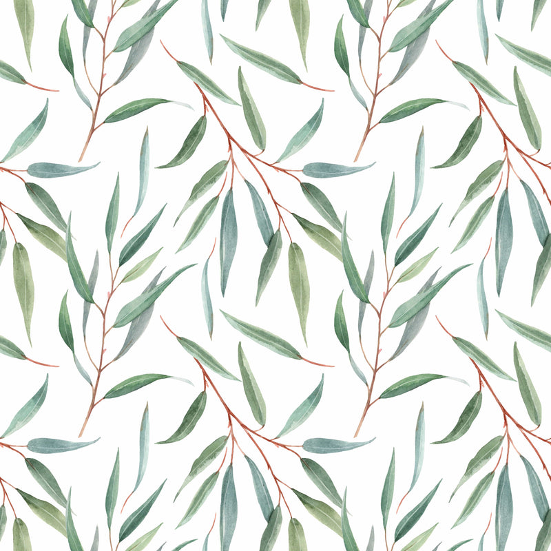 Eucalyptus Branches Wallpaper