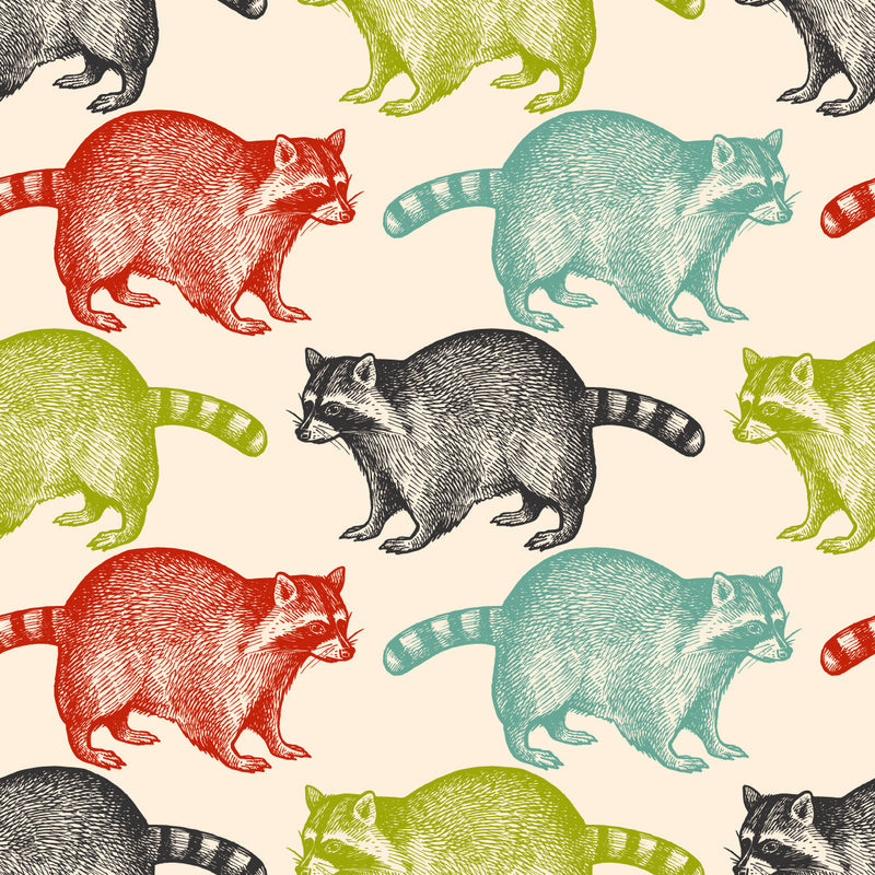 Multicolored Raccoons Wallpaper
