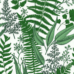 Ferns Leaves on White Wallpaper