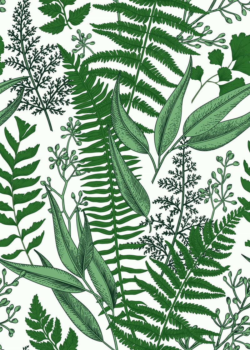 Ferns Leaves on White Wallpaper