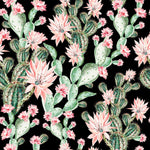 Dark Wallpaper with Pink Cactus Flowers