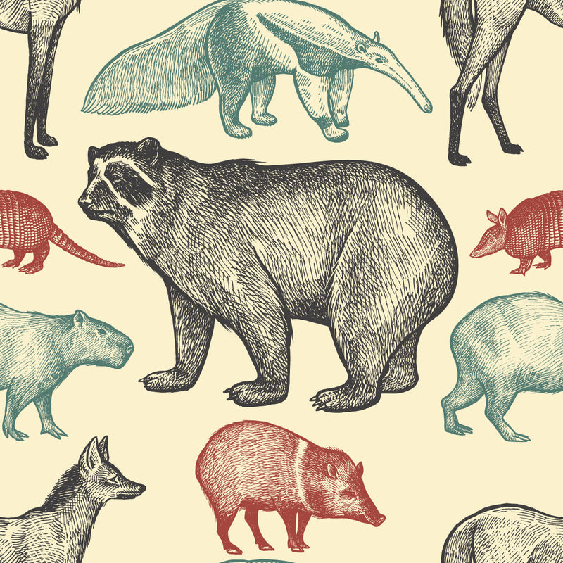 Stylish Exotic Animals Wallpaper Chic