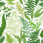 Green Leafy Wallpaper