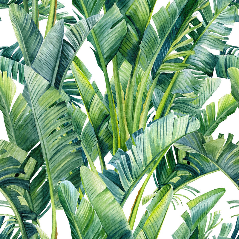 Palm Leaves Wallpaper