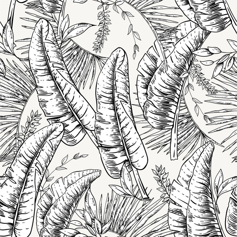 Black and White Palm Leaves Wallpaper