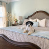 Teardrop Leaf Quilt 3 Piece Set