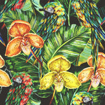 Exotic Parrots with Orchid Wallpaper