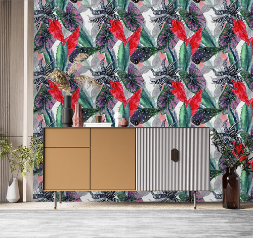 Plant's Leaves and  Succulents Wallpaper