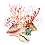 Seashells and Corals Wallpaper