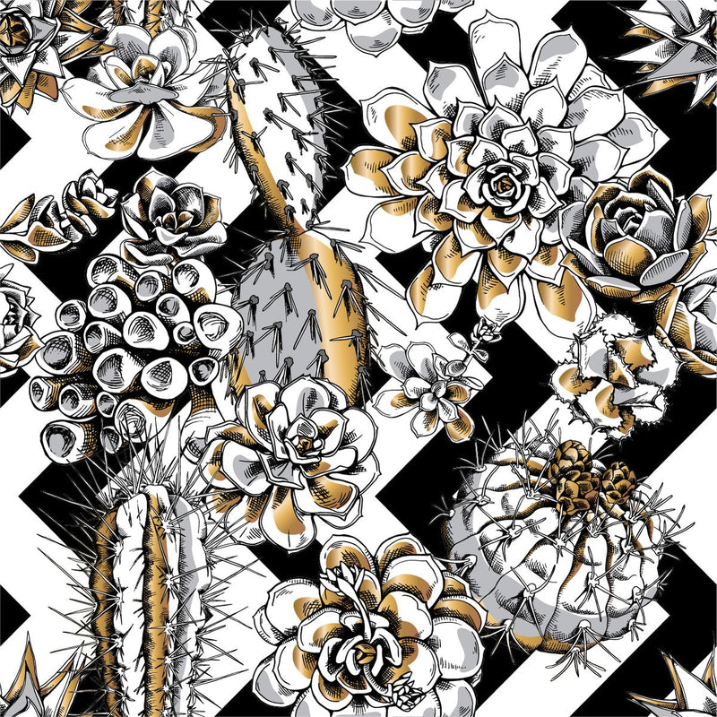 Black and White Succulents Wallpaper