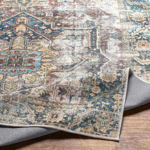 Blue Catigpian Distressed Washable Area Rug