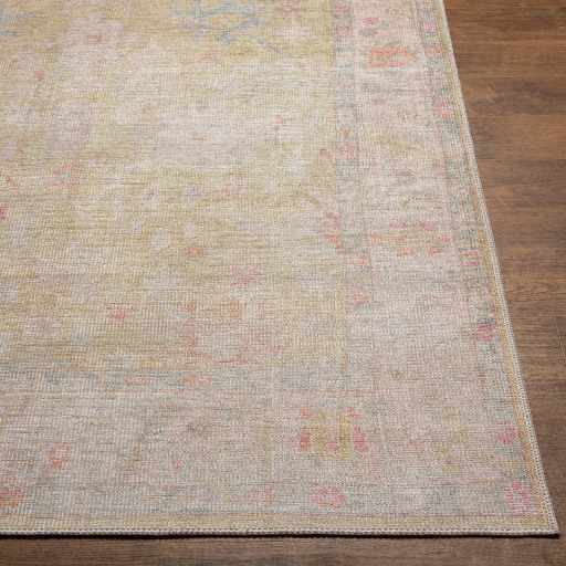 Bozkurt Distressed Washable Rug