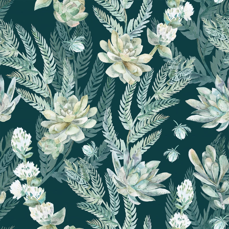 Green Succulents Wallpaper