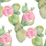 Cactus Wallpaper on White Background
