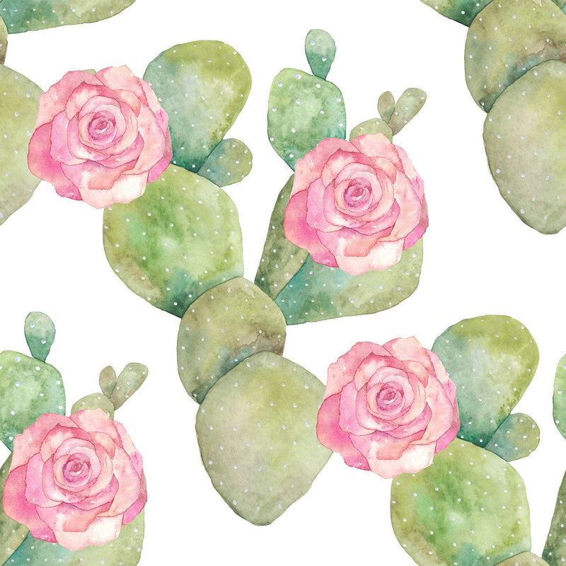 Cactus Wallpaper on White Background