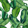 White Wallpaper with Green Leaves