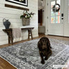 Athor Washable Area Rug