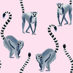 Lemur Wild Animal Wallpaper