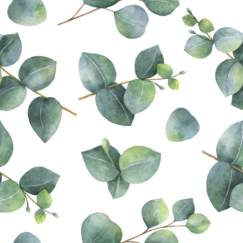 Light Eucalyptus Leaves Wallpaper
