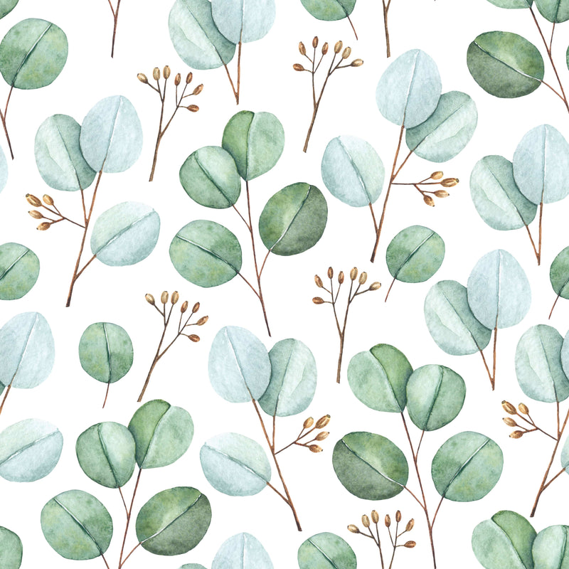 Light Eucalyptus Wallpaper