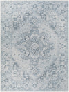 Ankti Aqua Washable Area Rug