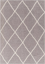 Amani Gray Washable Area Rug