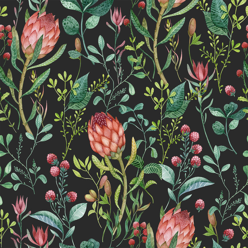 Protea and Raspberries Wallpaper